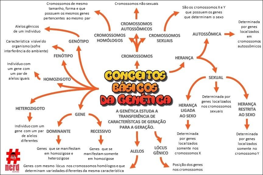 Mapas Mentais Sobre Genetica Study Maps