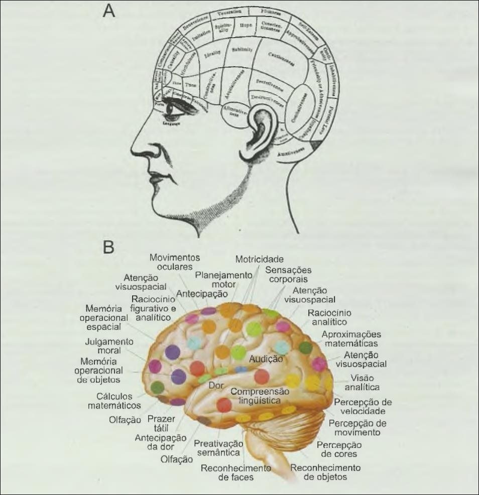 Habilidades cognitivas e perceptuais
