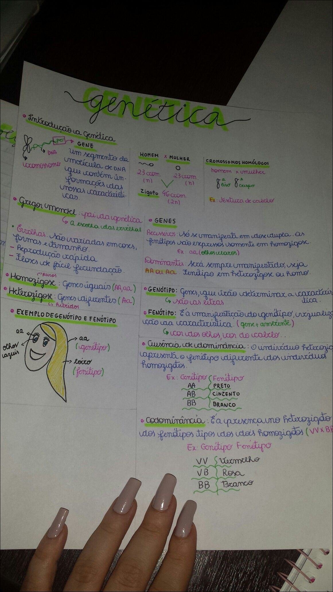 Mapa mental com Genética no centro, ramificando-se para Introducao a Genética e GENE