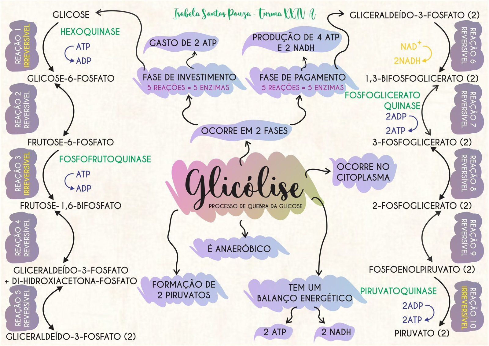 Mapa mental da Glicólise com a palavra GLICOSE no centro, ramificando-se para QUINASE e HEXOQUINASE