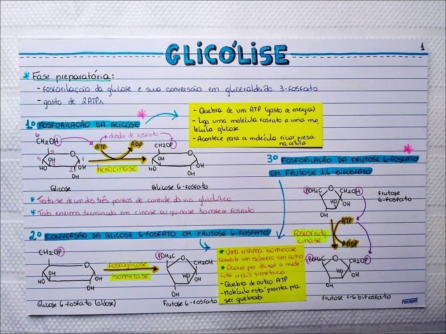 Mapa mental com Glicólise no centro, ramificando-se para Fosse preparatória e Fosforilação da Glicose