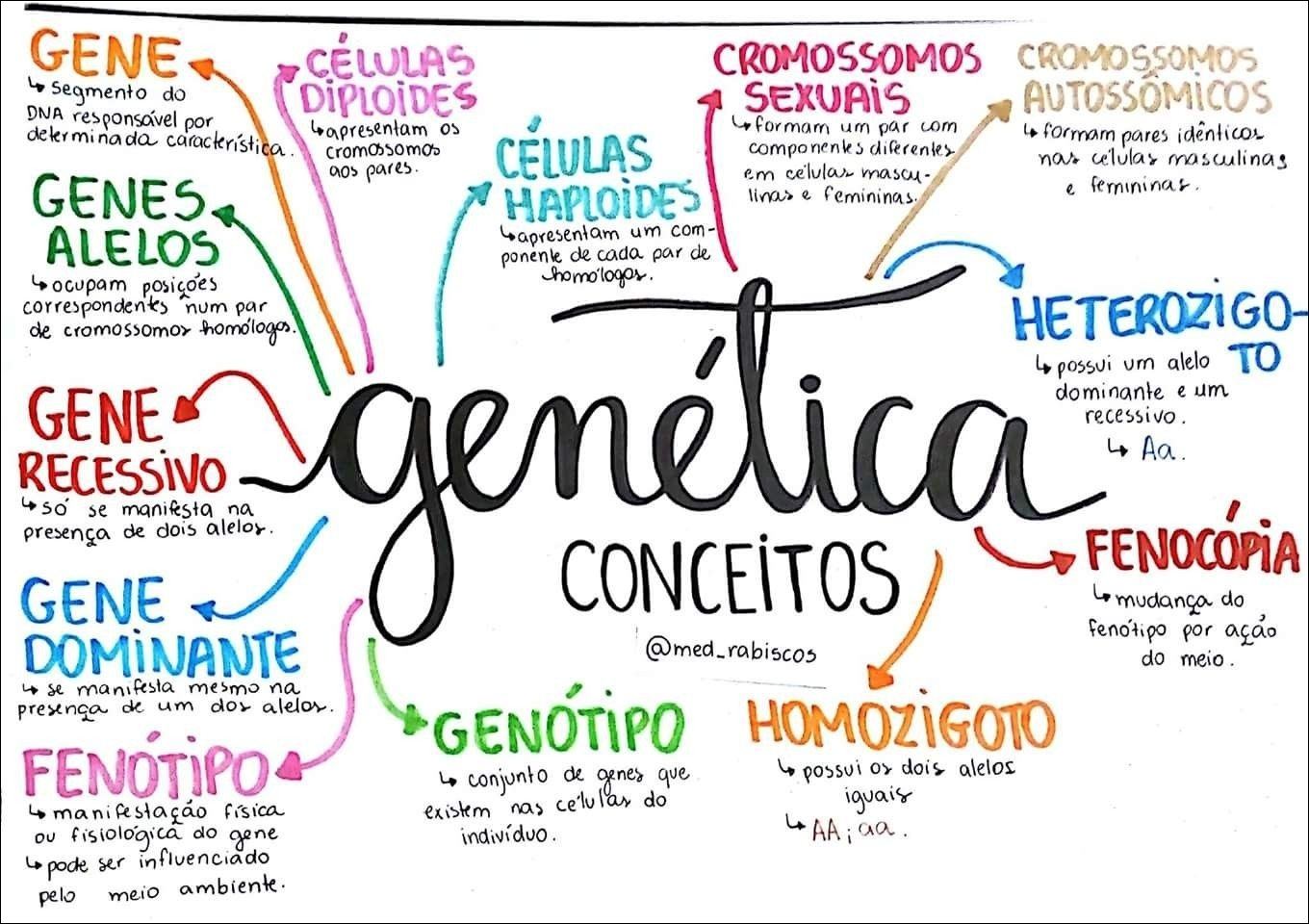 Mapas Mentais Sobre Gene Study Maps