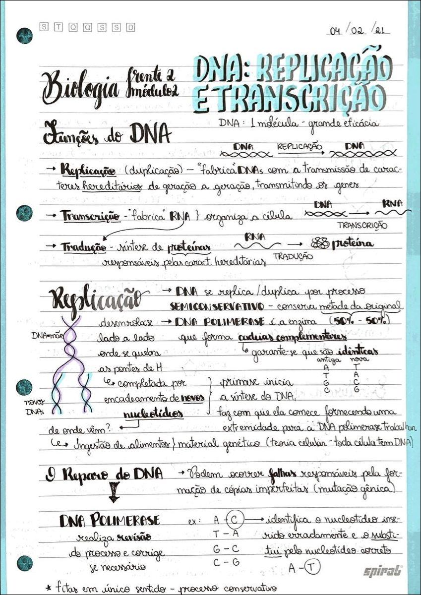 Mapas Mentais sobre DUPLICAÇÃO DO DNA - Study Maps  Duplicação do dna,  Replicação do dna, Transcrição e tradução