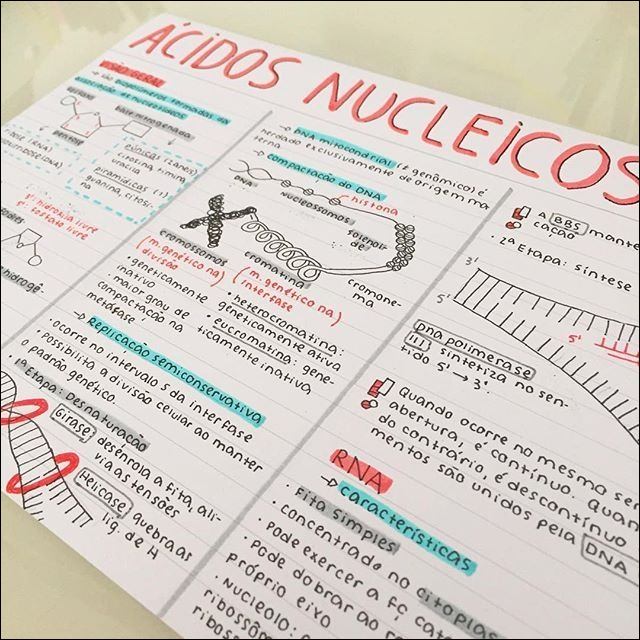 57 Mapas Mentais Sobre Acidos Nucleicos Study Maps