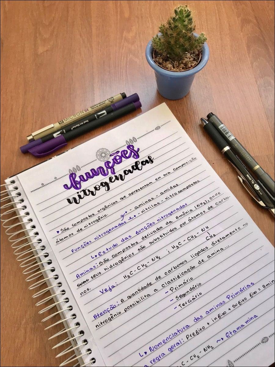 Mapa mental com funções nitrogenadas no centro, ramificando-se para compostos orgânicos e átomos de nitrogênio