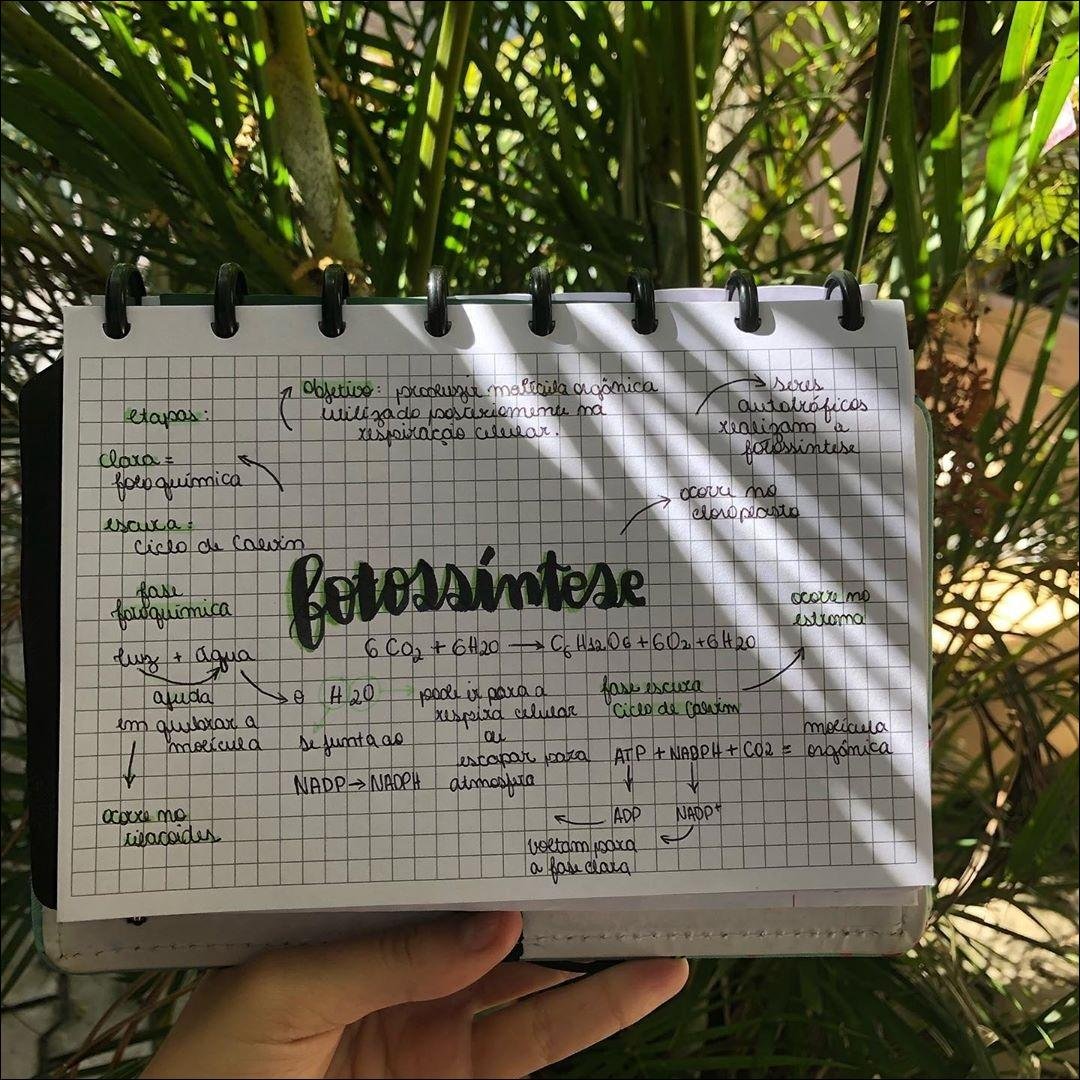 Mapa mental com fotossíntese no centro, ramificando-se para seres e etapas