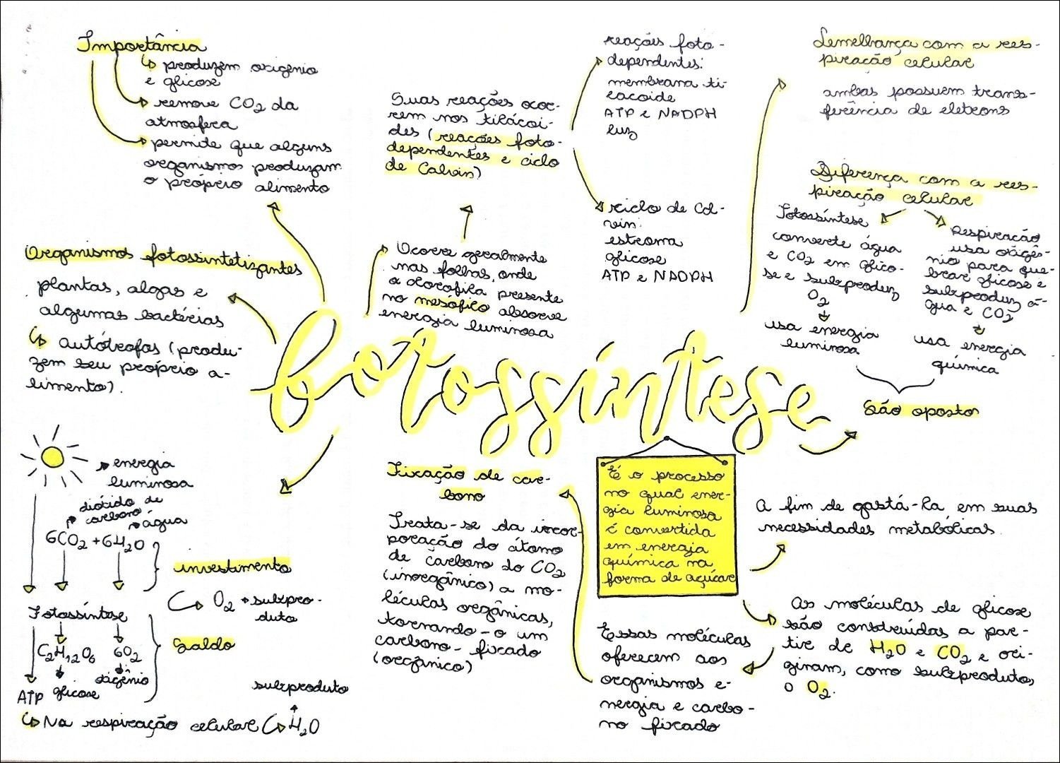 Mapa mental com fotossíntese no centro, ramificando-se para reações fotoquímicas e ciclo de Calvin