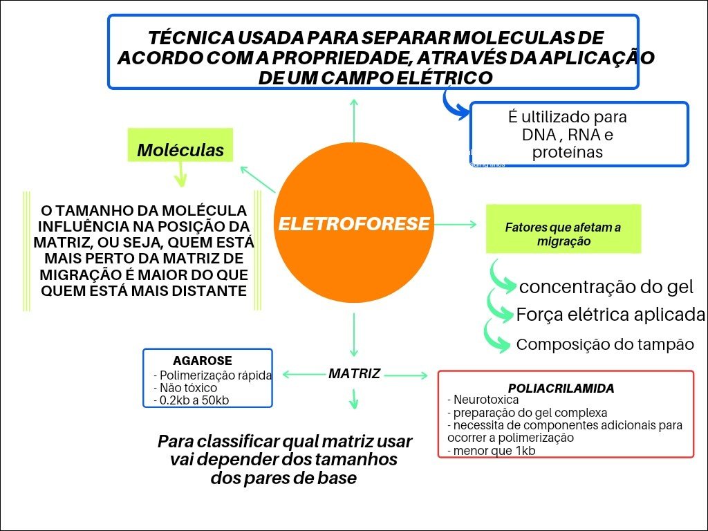 Mapa mental com ELETROFORESE no centro, ramificando-se para TÉCNICA USADA PARA SEPARAR MOLECULAS DE e ACORDO COM A PROPRIEDADE ATRAVÉS DAAPLICAÇÃO DE UM CAMPO ELÉTRICO