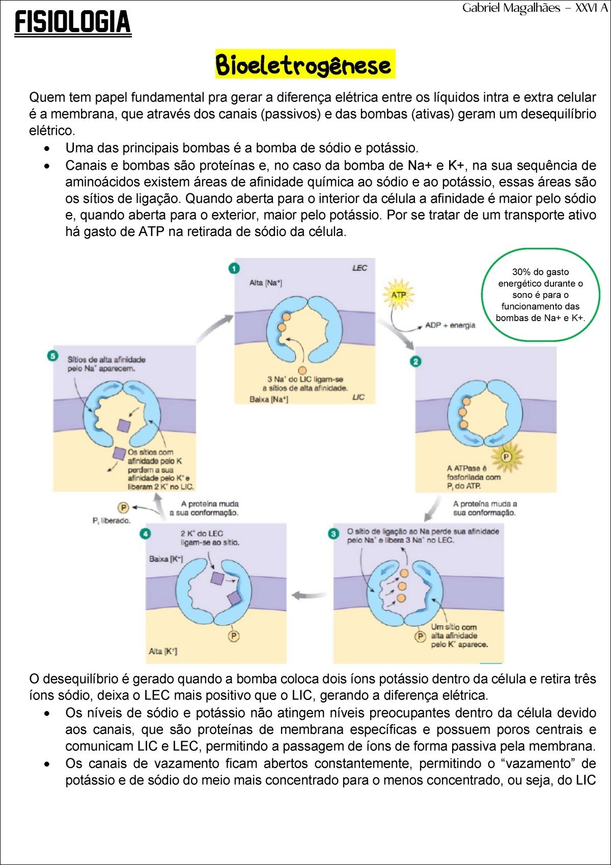 Mapa mental com FISIOLOGIA no centro, ramificando-se para Bioeletrogênese e membrana