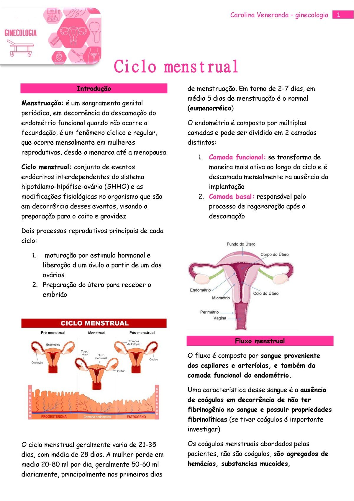 Mapa mental com GINECOLOGIA no centro, ramificando-se para Carolina Veneranda ginecologia e Ciclo menstrual