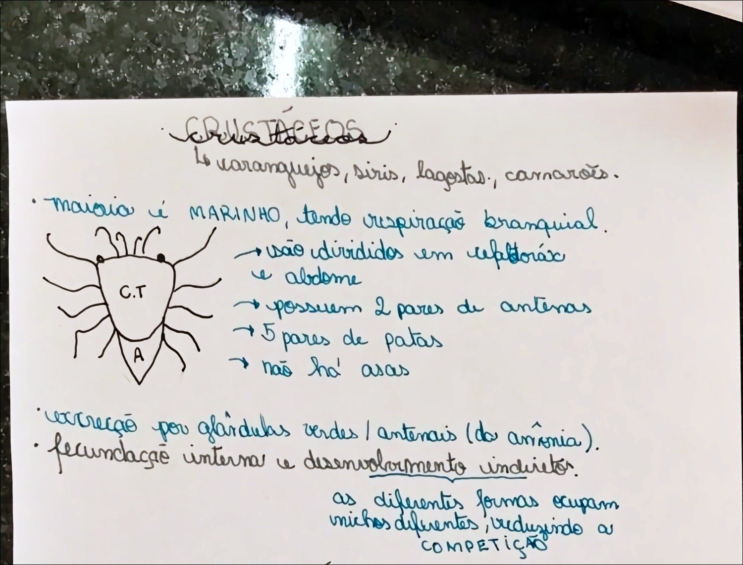 Mapa mental com Varanguejos no centro, ramificando-se para Siris e Lagostas