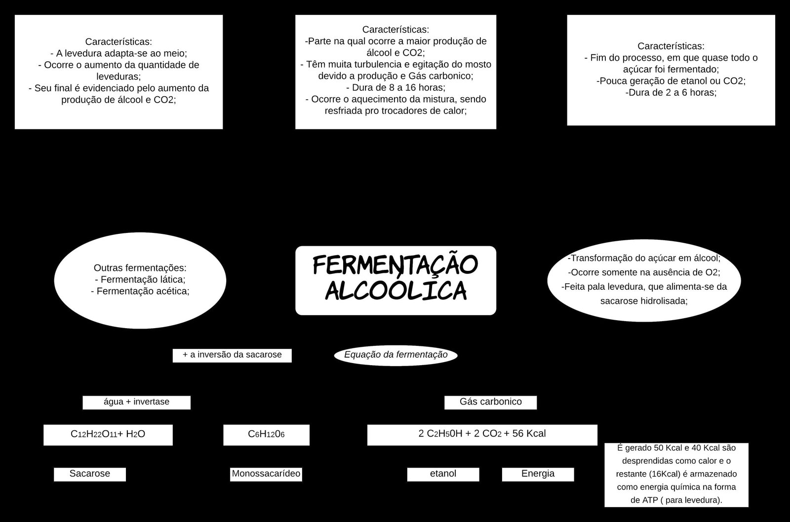 Mapa mental com Fermentação no centro, ramificando-se para Características e Transformação do açúcar em álcool