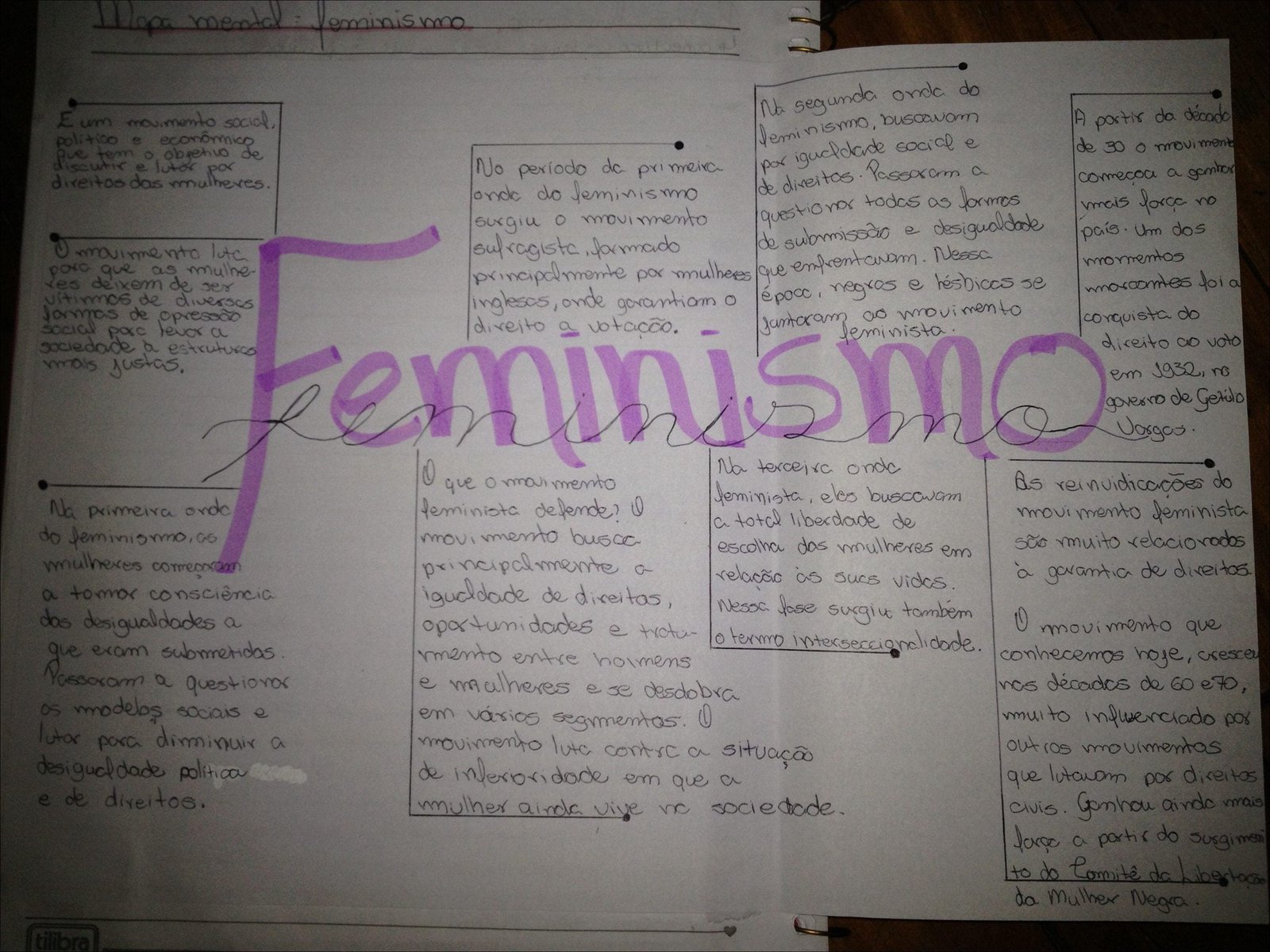 Mapa mental com Feminismo no centro, ramificando-se para Movimento Social e Direitos Políticos