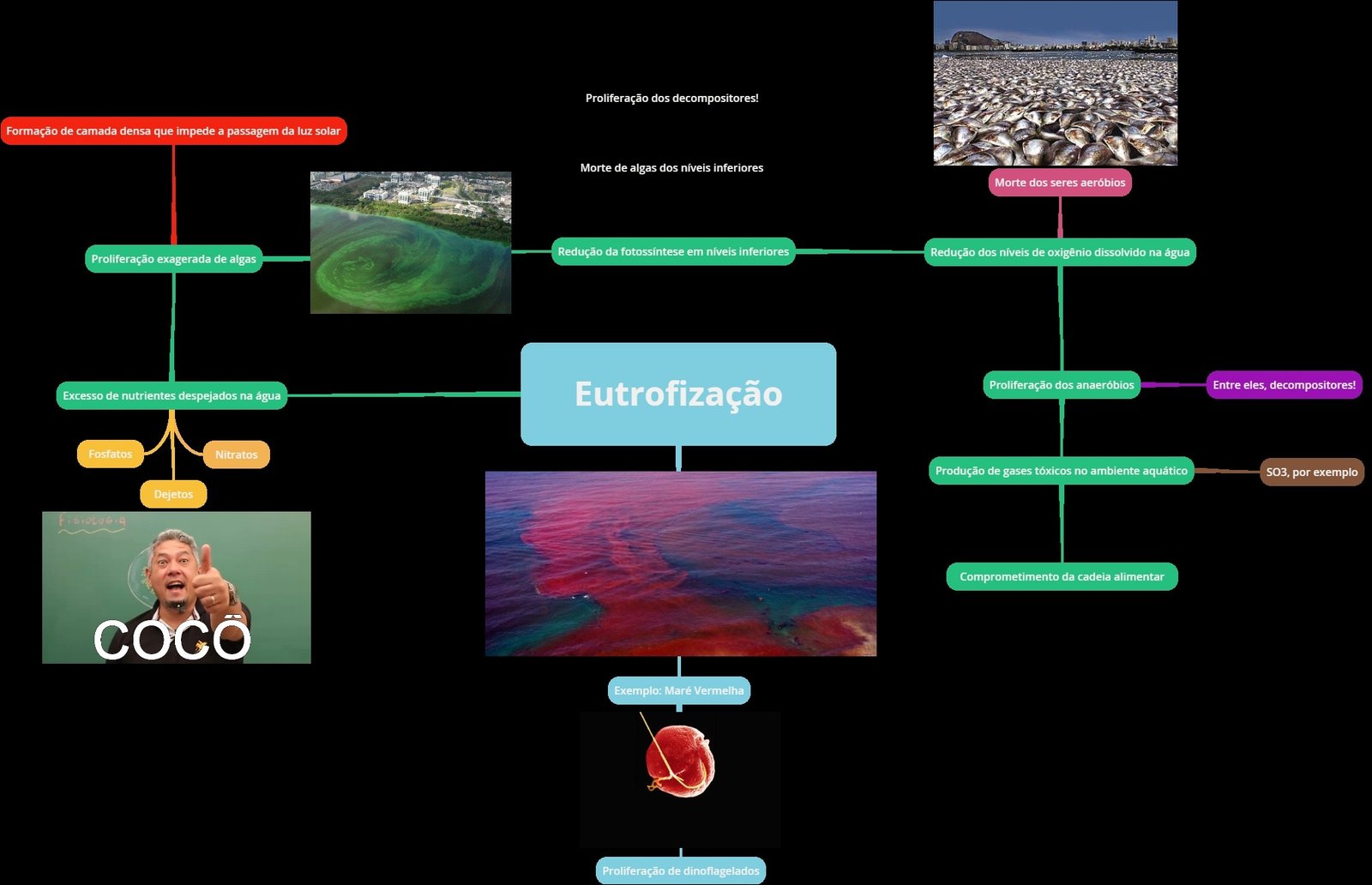 Mapa mental com Eutrofização no centro, ramificando-se para Proliferação dos decompositores e Formação de camada densa que impede a passagem da luz solar
