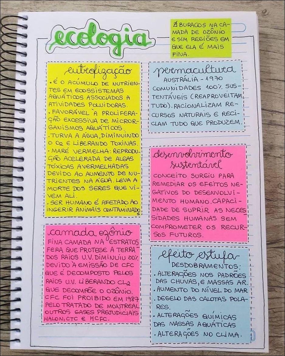 Mapa mental com ecologia no centro, ramificando-se para A BURACOS NA CA e MADA DE OZÔNiO