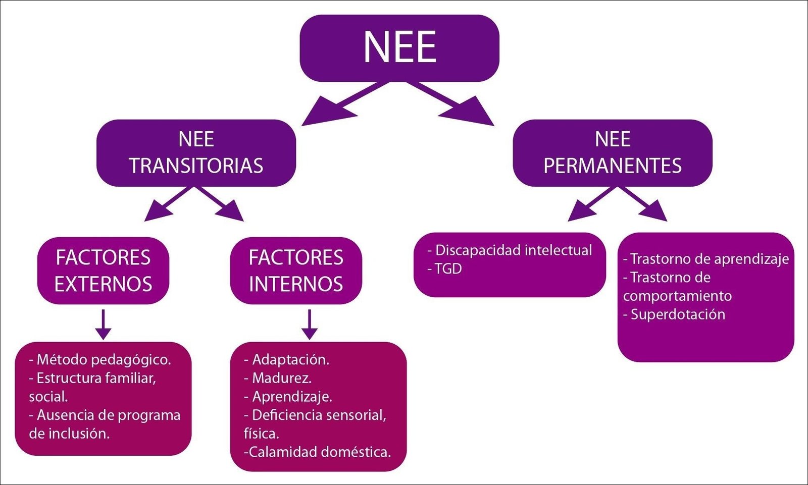 Mapa mental com NEE no centro, ramificando-se para NEE e TRANSITORIAS