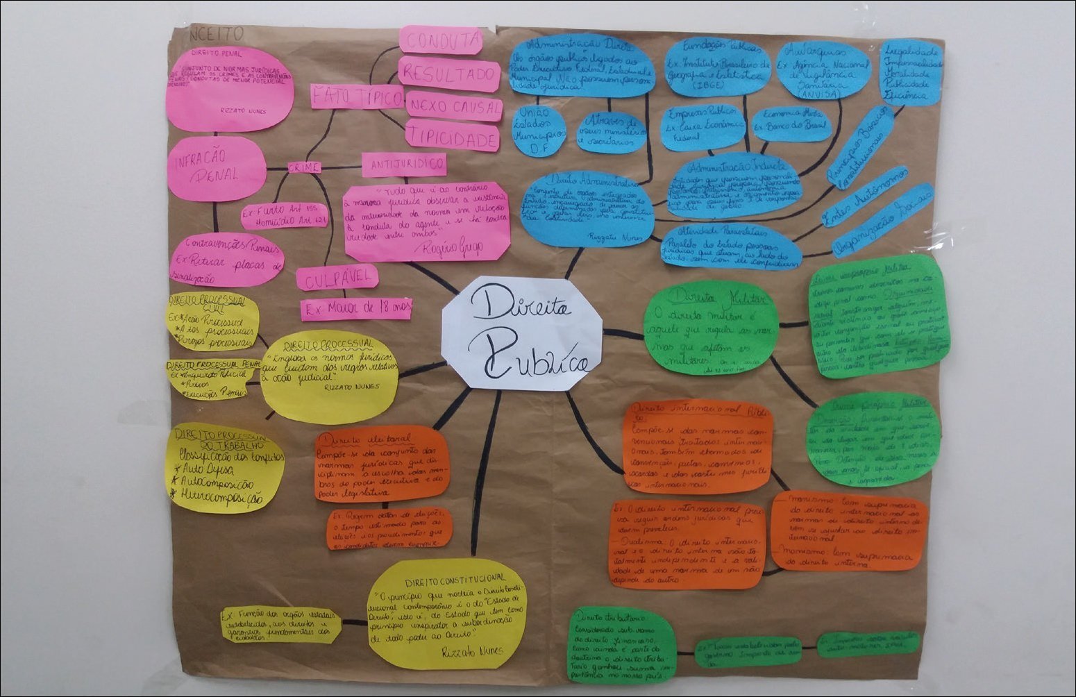 Direito Penal e Administração Pública