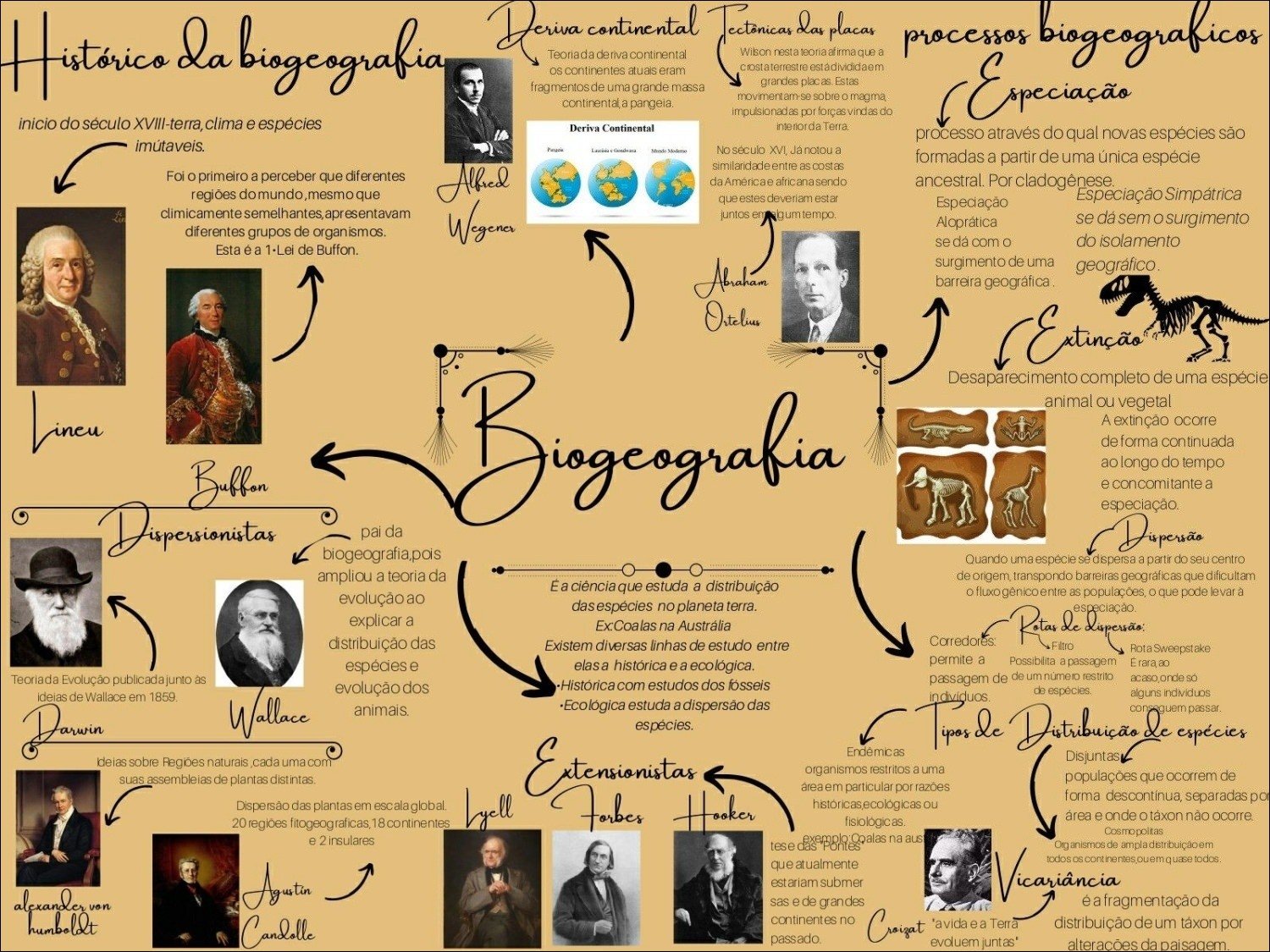 Mapa mental com Continental no centro, ramificando-se para Deriva Continental e Teoria