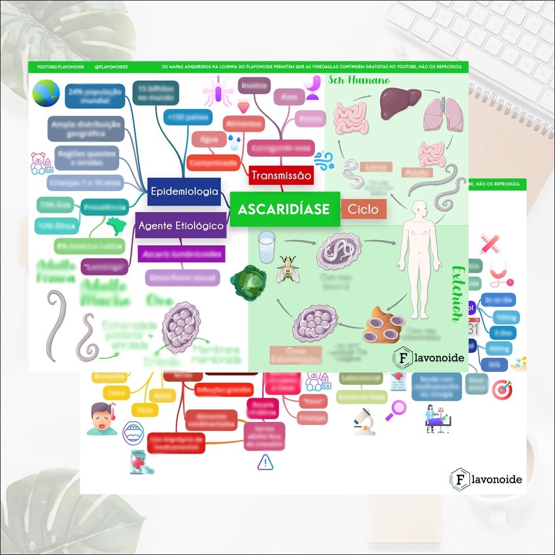 Mapa mental com Flavonoide no centro, ramificando-se para Youtube e Lojinha do Flavonoide