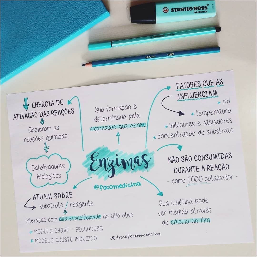 Mapa mental com ENZIMAS no centro, ramificando-se para CATALISADORES e BIOLOGICOS