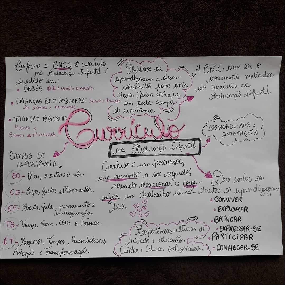 Currículo na Educação Infantil: Objetivos, Aprendizagem e Desenvolvimento