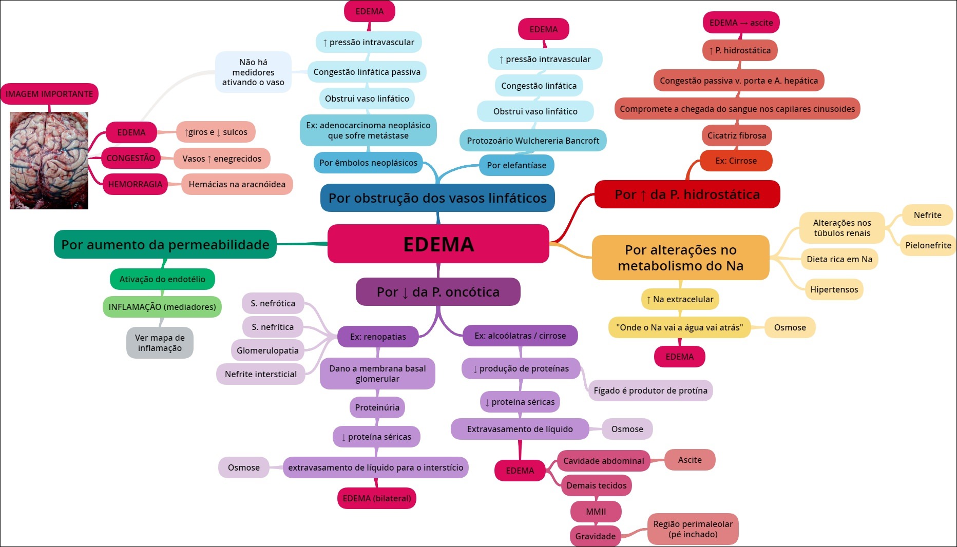 EDEMA - Patologia Geral