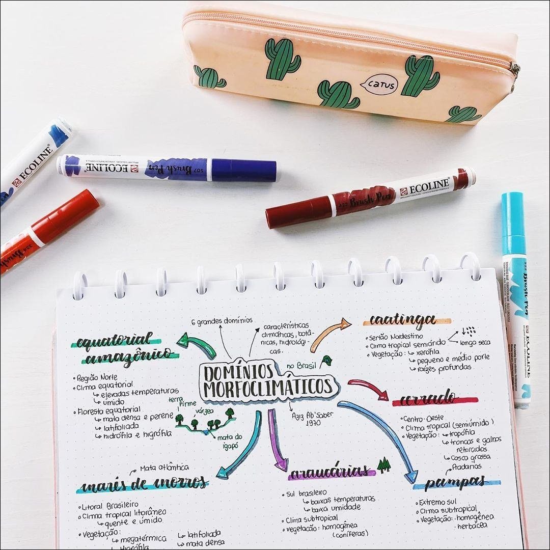 Mapa mental com DOMÍNIOS no centro, ramificando-se para MORFOCLIMATICOS e 6 grandes dominios