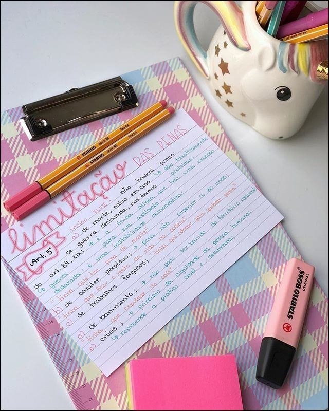 Penalidades e Direitos Humanos