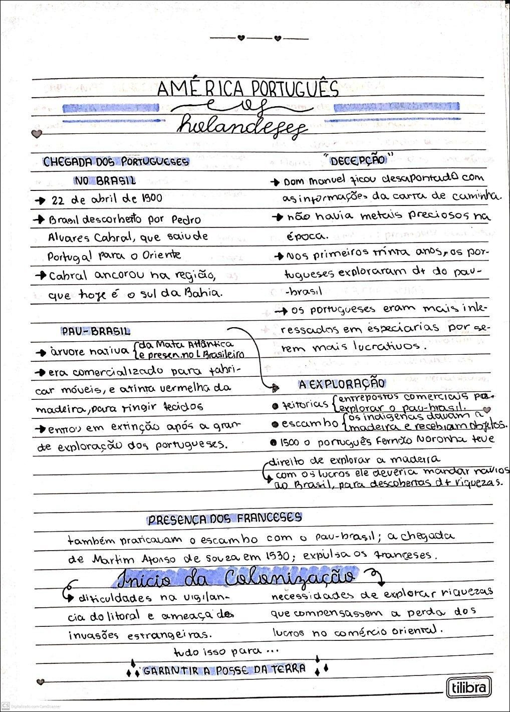 Descobrimento do Brasil: A chegada dos portugueses e a exploração do pau-brasil