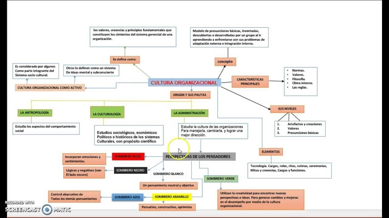 Cultura Organizacional: Valores e Princípios
