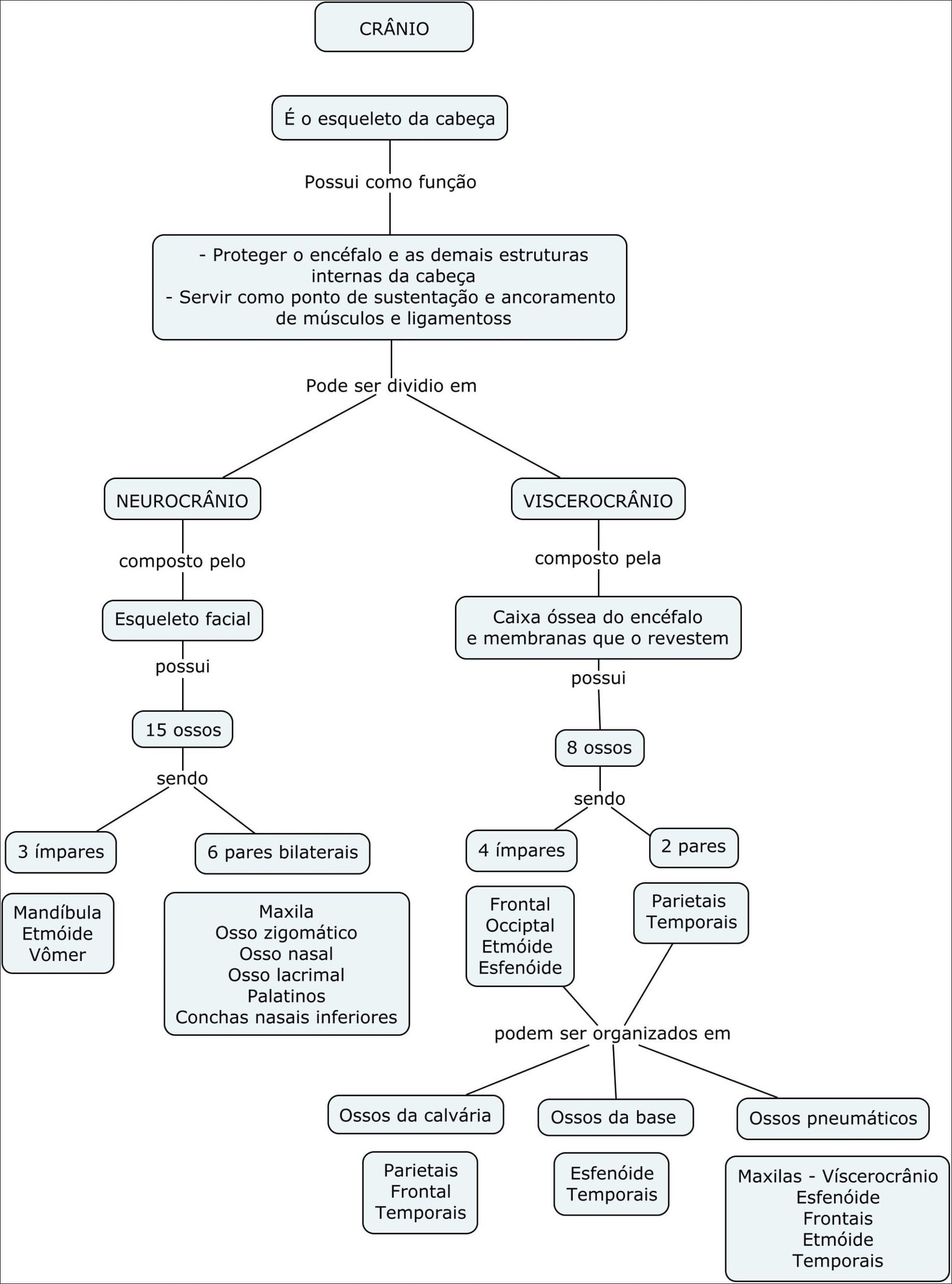 Mapa mental com CRÂNIO no centro, ramificando-se para É o esqueleto da cabeça e Possui como função