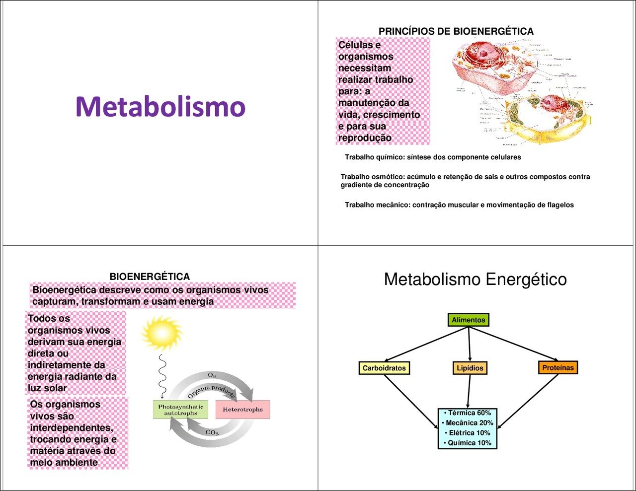 Mapa mental com Princípios de Bioenergética no centro, ramificando-se para Células e Organismos