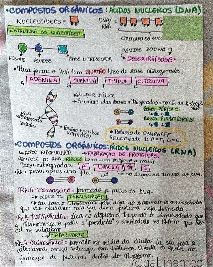 Mapa mental com Compostos Orgânicos Ácidos Nucleicos no centro, ramificando-se para Lonas e Nucleotídeos