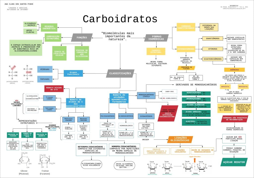 Mapas Mentais Sobre CARBOIDRATOS - Study Maps