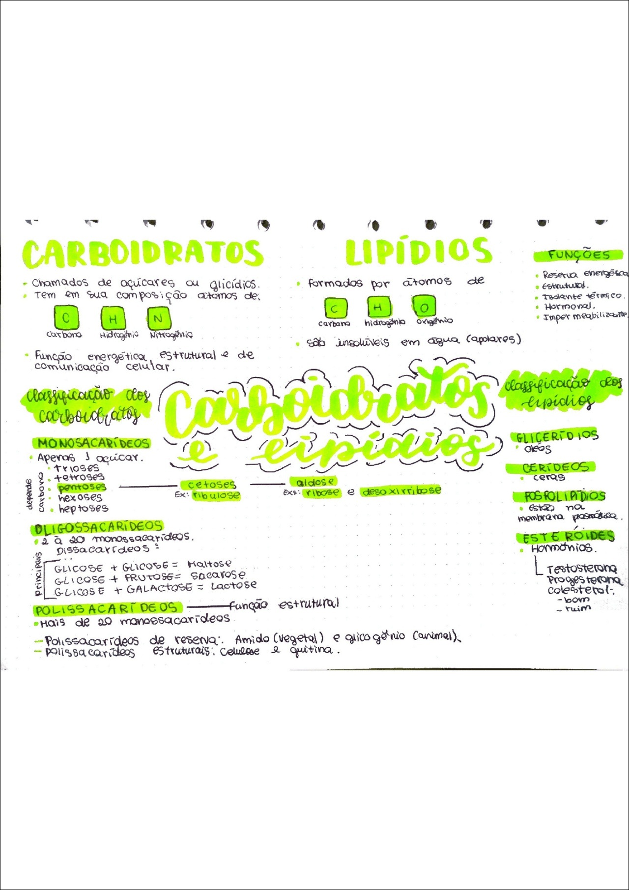 100 Mapas Mentais Sobre CARBOIDRATOS - Study Maps