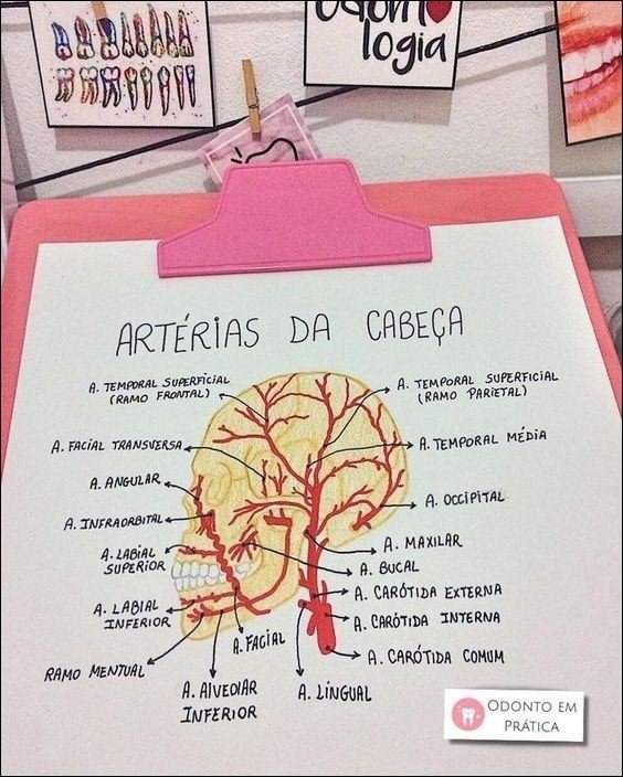 Mapa mental com ARTÉRIAS DA CABEÇA no centro, ramificando-se para A TEMPORAL SUPERFiCiAL e A TEMPORAL MÉDiA