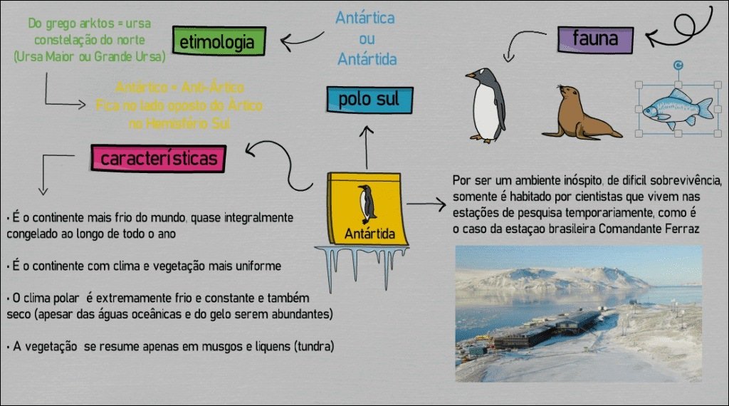 Mapa mental com Antártica no centro, ramificando-se para Arktos Ursa e Fauna