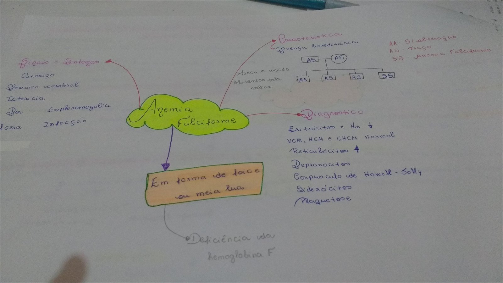 Mapa mental com ven no centro, ramificando-se para HCM e Caracteristica