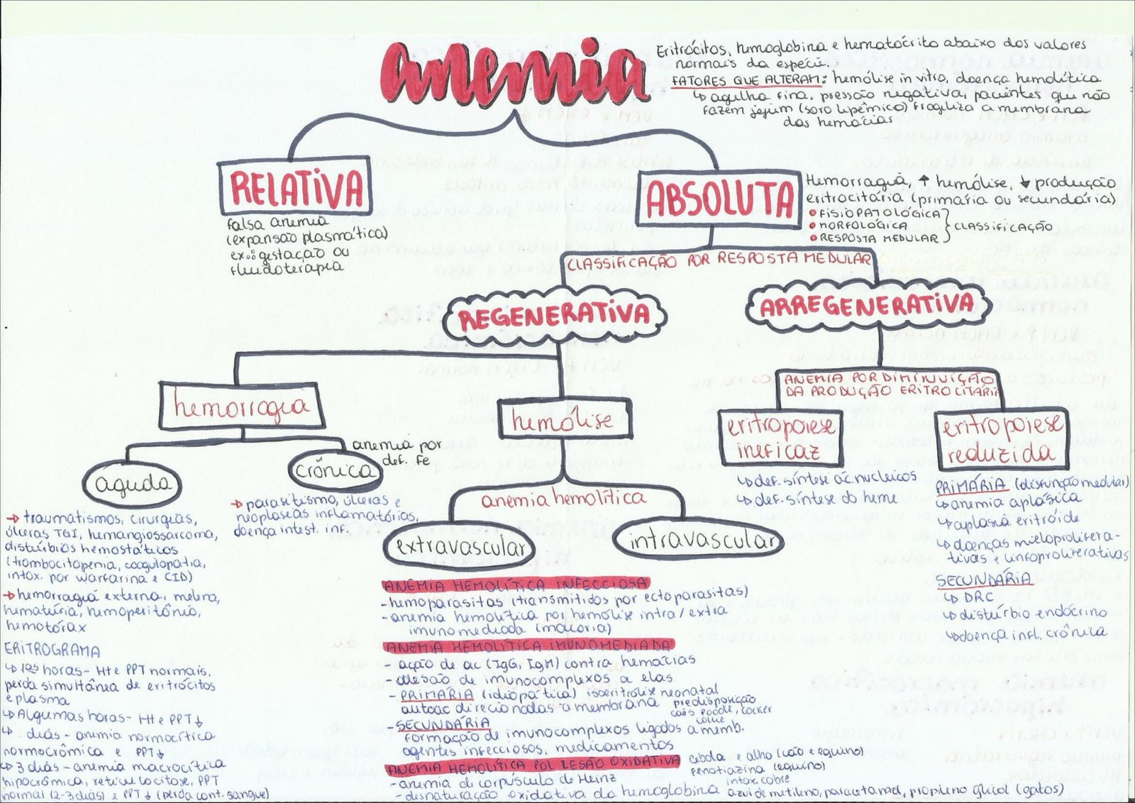 Mapa mental com anemia no centro, ramificando-se para anemin e Eritrocitos