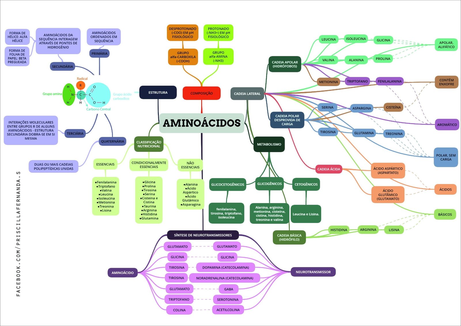 Estrutura e características dos aminoácidos