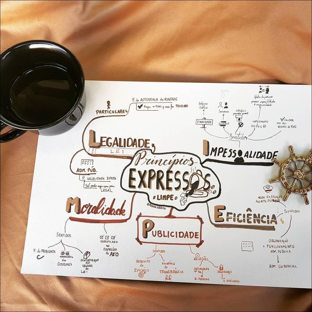 Princípios da Administração Pública